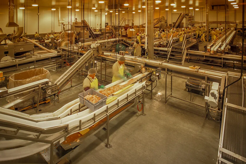 Foster Farms Deboning Facility in Fresno, CA — Rex Moore electrical project photo 2