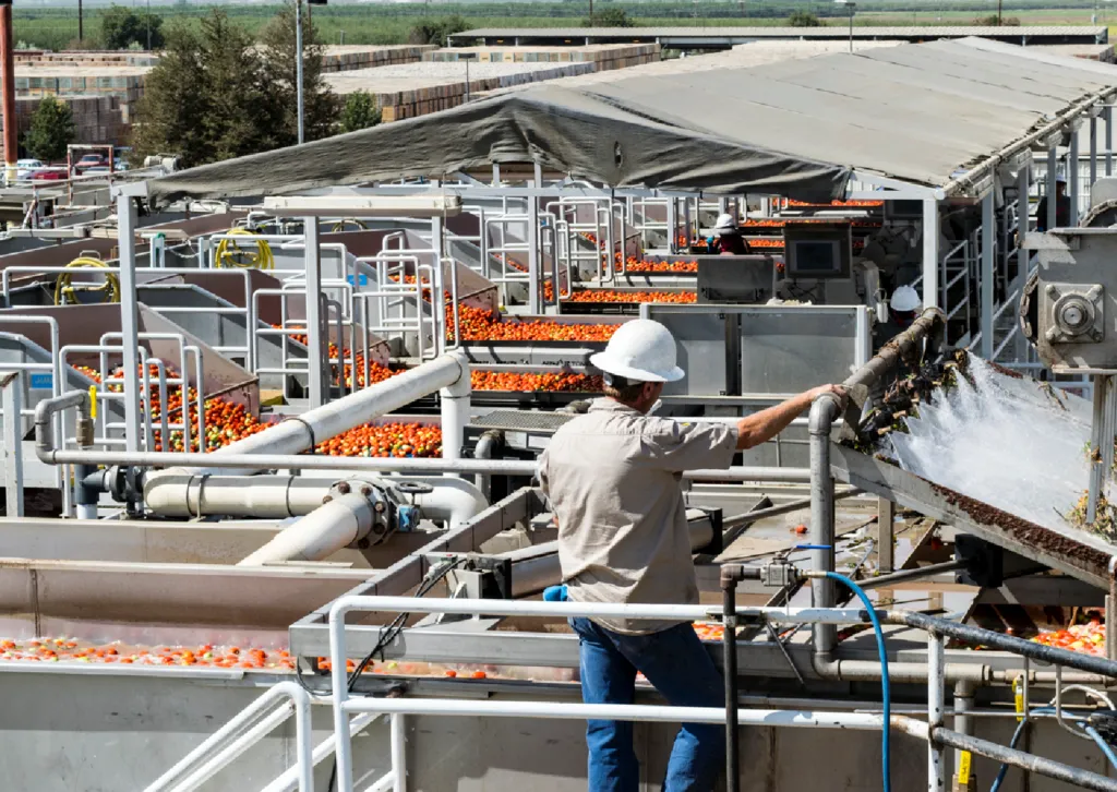 Morningstar Packing Company in Williams, CA — Rex Moore electrical project photo 2