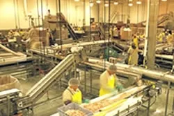 Foster Farms Deboning Facility in Fresno, CA — Rex Moore electrical project photo 1
