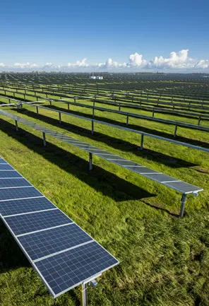 Google Solar Farm in Elk Grove, CA — Rex Moore electrical project photo 6