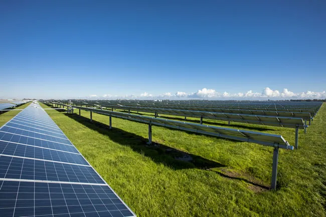 Google Solar Farm in Elk Grove, CA — Rex Moore electrical project photo 5